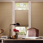 Refreshing Mesa Window Coverings for Spring