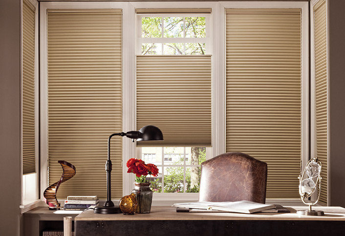 Refreshing Mesa Window Coverings for Spring